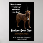 Animal Rights  Adoption and Rescue Posters