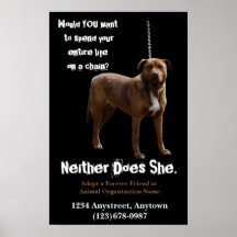 Animal Rights  Adoption and Rescue Posters