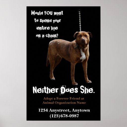 Animal Rights  Adoption and Rescue Posters