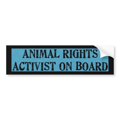 Animal Rights Bumper Stickers by StickerManiac