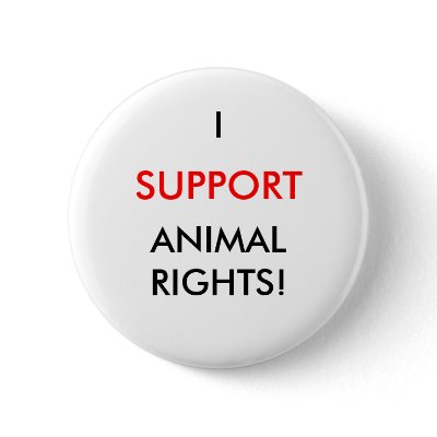 Animal Rights Button, White