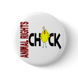 Animal Rights Chick 1 Button