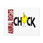 Animal Rights Chick 1 Postcard