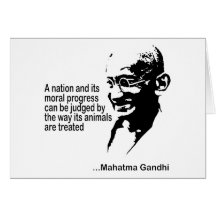 Animal Rights Greeting Cards