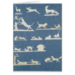 Animal Scenes and Playing Cats Greeting Cards
