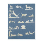 Animal Scenes and Playing Cats Postcard