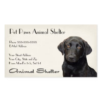 Animal Shelter Hospital Business Card