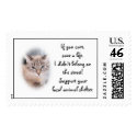 Animal Shelter postage