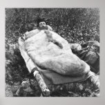 Animal skin sleeping bag: 1888 posters