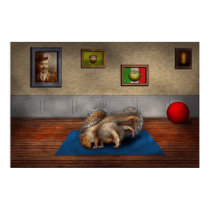 Animal - Squirrel - And stretch Two Three Four posters