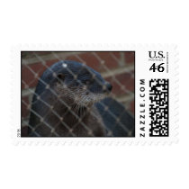 Animal stamps (Seal) stamps