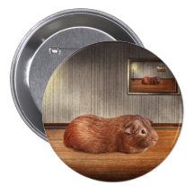 Animal - The guinea pig Buttons