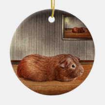 Animal - The guinea pig Christmas Ornaments