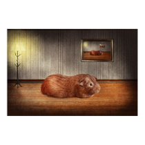 Animal - The guinea pig posters