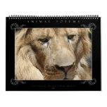 Animal Totem Calendar (3)
