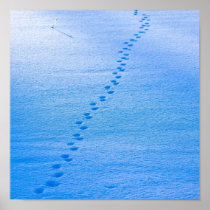 animal track in the snow posters