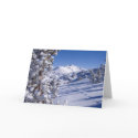 Animal Tracks cards