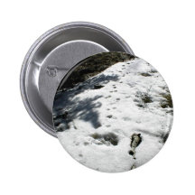 Animal Tracks In The Melting Snow Pins