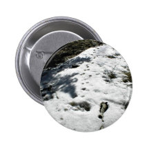 Animal tracks on snow pin