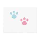 Animal tracks postcards