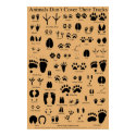 Animal Tracks Poster posters by tracker8459 Animal Tracks Poster posters