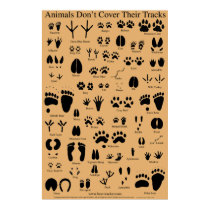 Animal Tracks Poster posters by tracker8459 Animal Tracks Poster posters