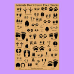 Animal Tracks Poster posters