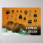 Animal Tracks Posters