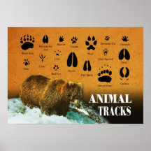 Animal Tracks Posters
