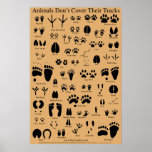Animal Tracks Poster posters