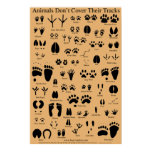 animals, animal tracks, pawprint, pawprints,