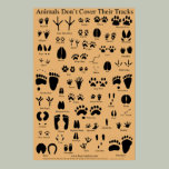 Animal Tracks Poster