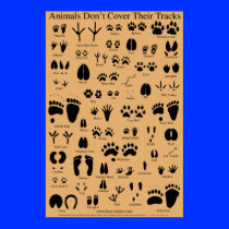 Animal Tracks Poster