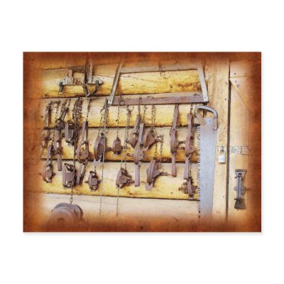 Animal Traps in Alaska Postcards by HTMimages