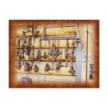 Animal Traps in Alaska postcards