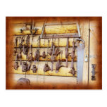 Animal Traps in Alaska Postcards