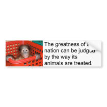 Animal Treatment bumper stickers by Rebecca_Reeder Animal Treatment bumper stickers