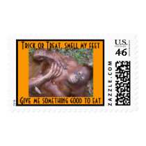 Animal Trick or Treat Halloween postage