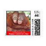 Animal Valentine's Day