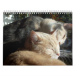 Animal Variety July 2011 - June 2012 Calendar