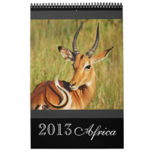 Animal wild Africa 2013 (ANY YEAR) Wall Calendar
