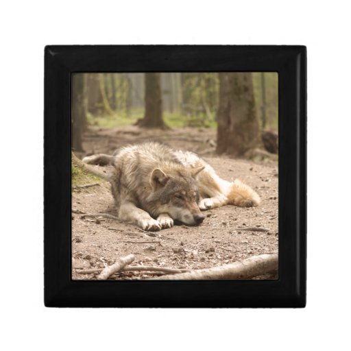  - animal_wolf_peace_love_wild_country_nature_gift_box-r836bfebceab04ff4b93c7becdb1364cb_aglbn_8byvr_512