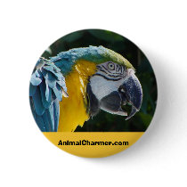 AnimalCharmer.com buttons