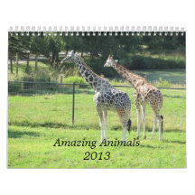Animales asombrosos 2013 calendario de pared