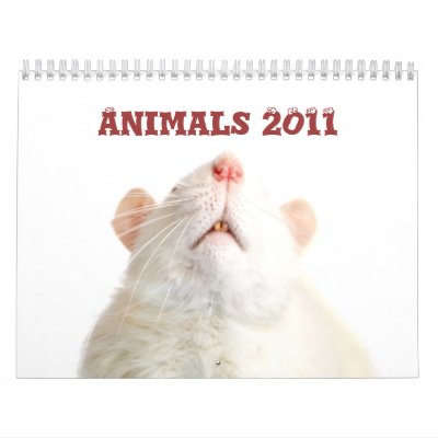 Animals 2011 calendar Animals 2011 calendar