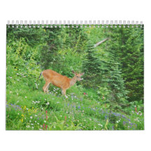 Animals 2013 calendars