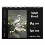 Animals Abound Calendar