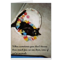 animals also want to take a vacation......... cards