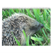 animals and flowers calendars