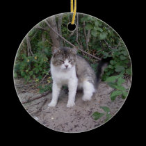 Animals and Pets Ornament ornaments